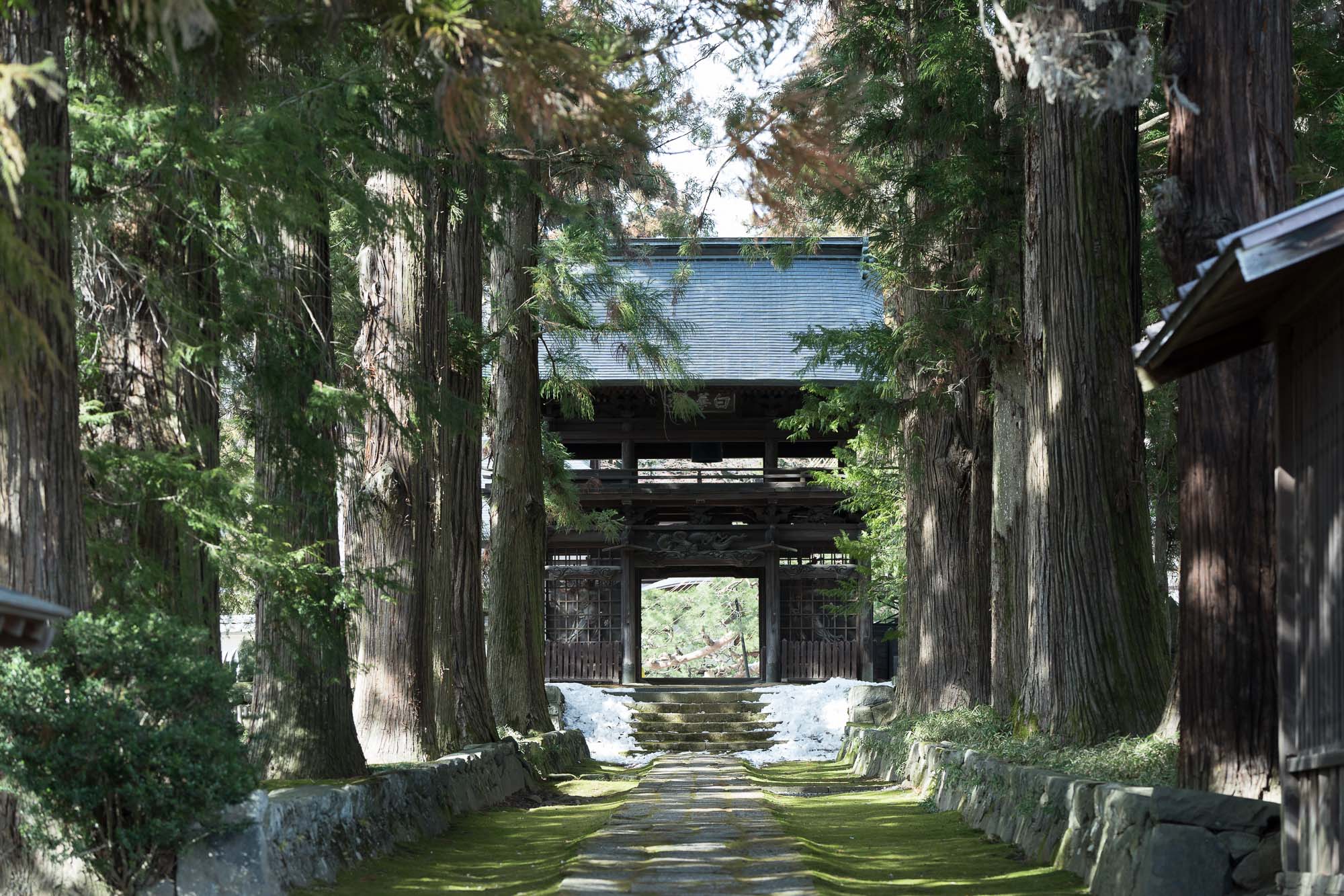 信州下諏訪の温泉をおすそわけ(20L) 信州下諏訪の温泉をおすそわけ(20L) 信州下諏訪の温泉をおすそ